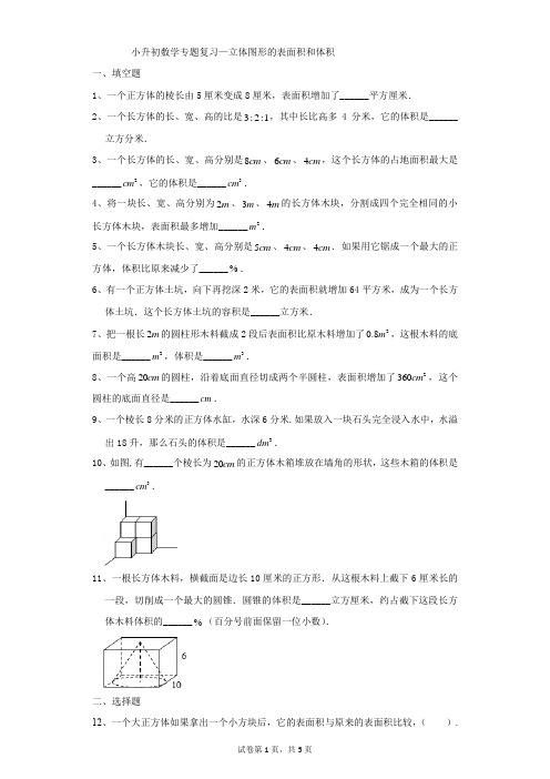 小学-数学-小升初-小升初数学专题复习—立体图形的表面积和体积