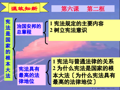 九年级政治 第六课第二框依法参与政治生活课件 人教新课标版2