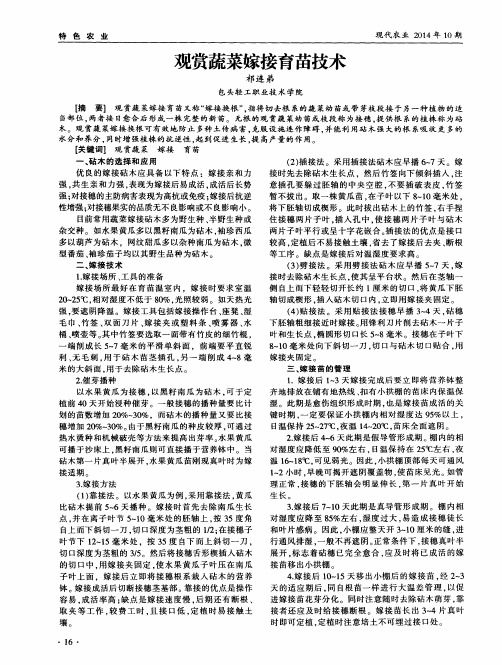 观赏蔬菜嫁接育苗技术