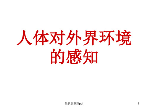 初一生物  视觉的形成和听觉的形成ppt课件