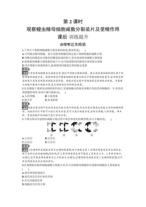 人教生物必修2课后习题：2-1 第2课时 观察蝗虫精母细胞减数分裂装片及受精作用