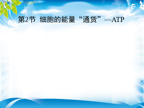 人教版生物必修一第五章第2节：细胞的能量通货—ATP(共21张PPT)[优秀课件资料]