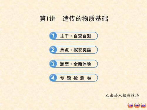 【精品】江苏2013年生物高考热点预测课件：4.1遗传的物质基础