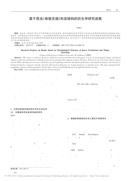 基于昆虫体壁及翅形态结构的仿生学进展