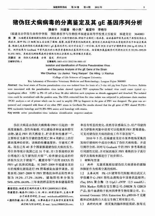 猪伪狂犬病病毒的分离鉴定及其gE基因序列分析