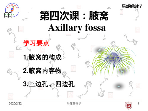 局部解剖学-腋窝PPT课件
