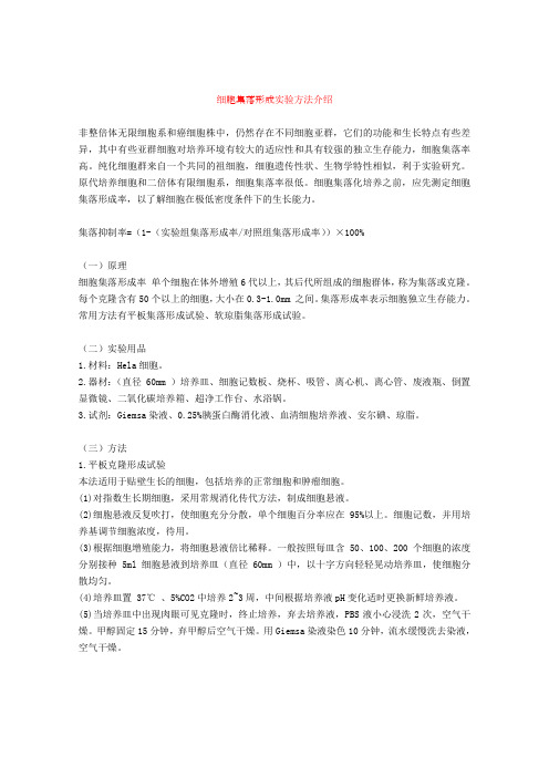 细胞集落形成实验