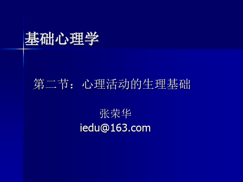 心理活动的生理基础