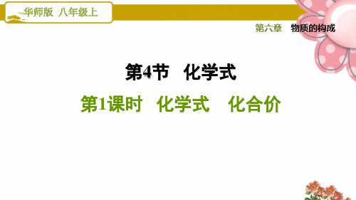 华师版八年级科学上册6.4.1 化学式 化合价ppt课件