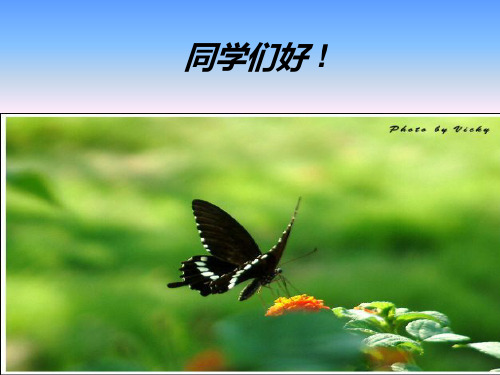 (3)第二章  新民主主义革命理论第三节新民主主义革命的道路和基本经验(2015年10月最新修订)