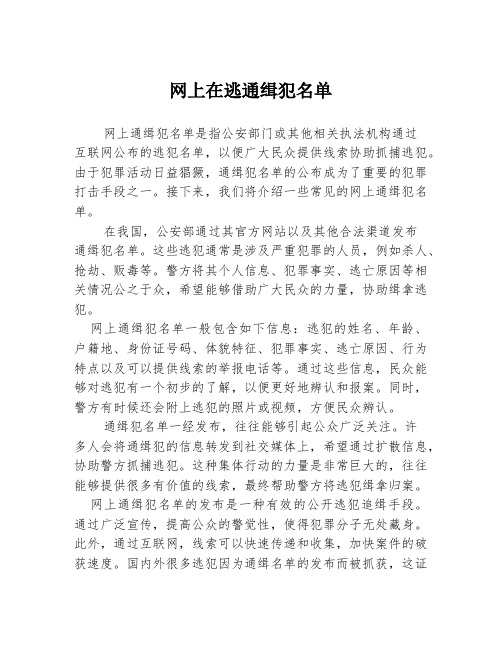 网上在逃通缉犯名单