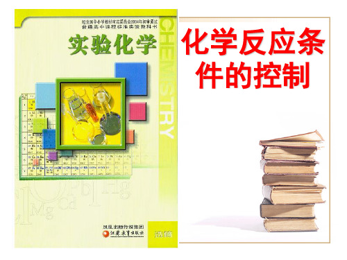 43化学反应条件的控制PPT课件