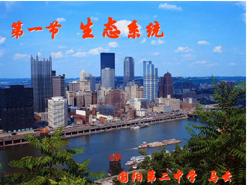 5.课件 生态系统