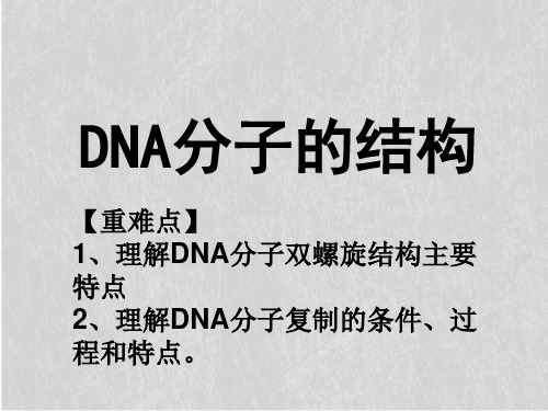 人教版高中生物必修二第3章第2节 《 DNA分子的结构》课件
