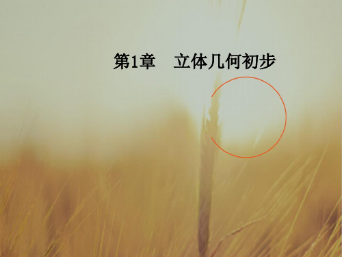 2018学年高中数学必修2课件第1章1.2-1.2.1平面的基本性质 精品
