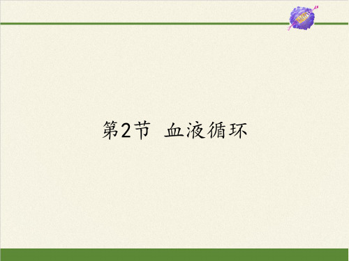 七年级生物下册课件-4.9.2 血液循环1-北师大版