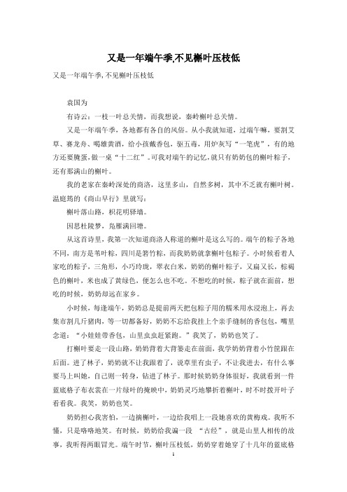 又是一年端午季,不见槲叶压枝低