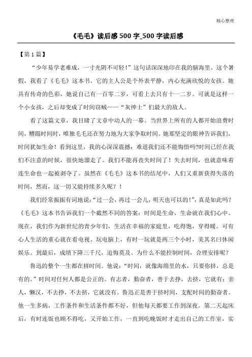 《毛毛》读后感500字_500字读后感
