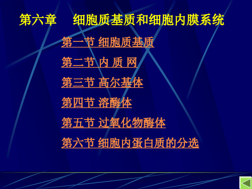 细胞生物学内膜系统