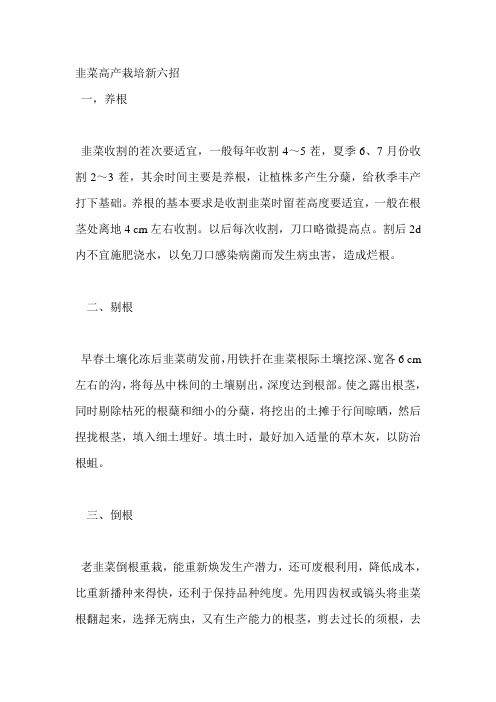 韭菜高产栽培新六招