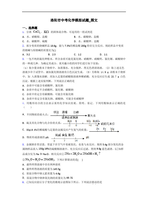 洛阳市中考化学模拟试题_图文