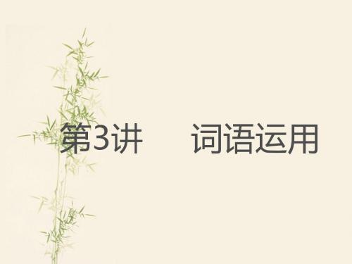 广东省中山市人教版2016年初中语文中考复习课件  第3讲   词语运用