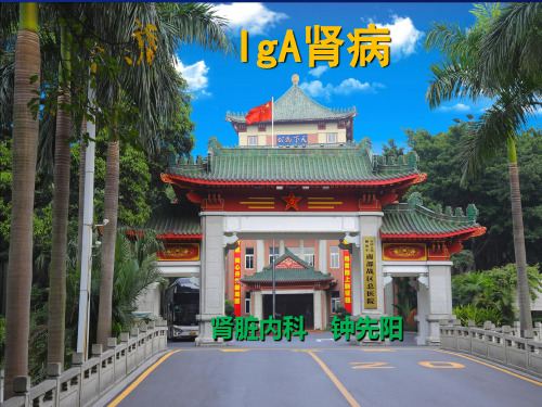 IgA肾病PPT课件(文库推荐)