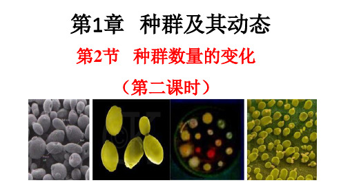 种群数量的变化(课件精讲)-学年高二生物同步课件精讲+习题精练(人教版2019选择性必修2) (2)