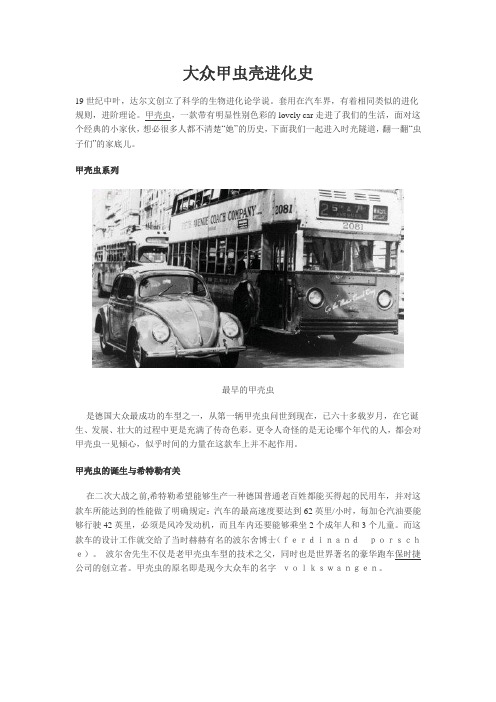 大众甲虫壳进化史