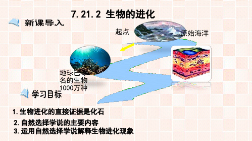 7.21.2 生物的进化(课件)八年级生物下册(北师大版)