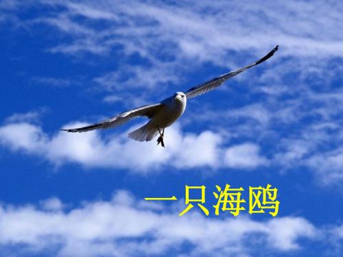 一年级下册识字六ppt
