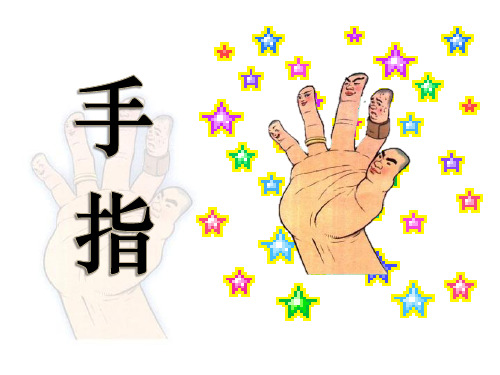 手指课件ppt完美版