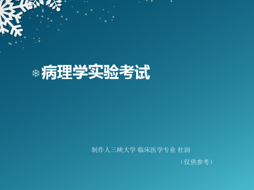 病理学实验考试