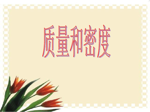 中小学优质课件密度课件.ppt