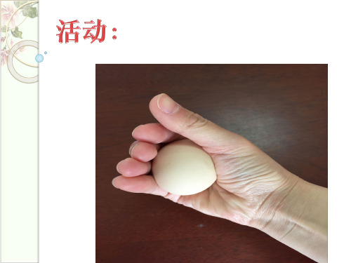 压强ppt实用课件浙教版2