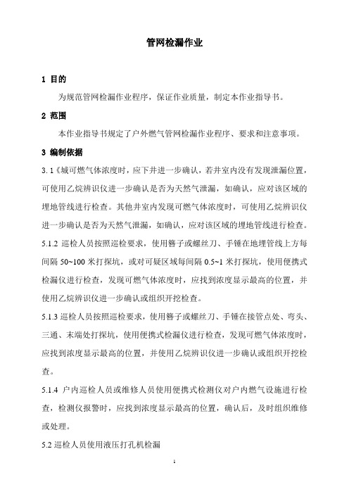 管网检漏作业指导书