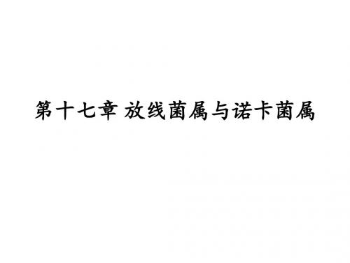 第17章 放线菌属与诺卡菌