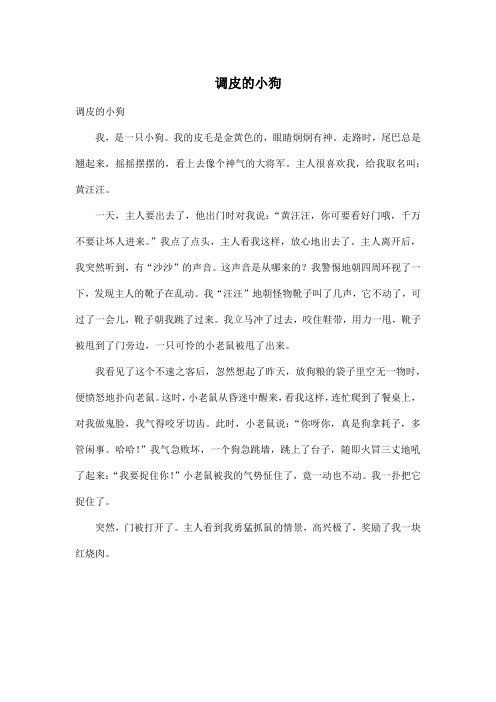 调皮的小狗_小学五年级作文500字