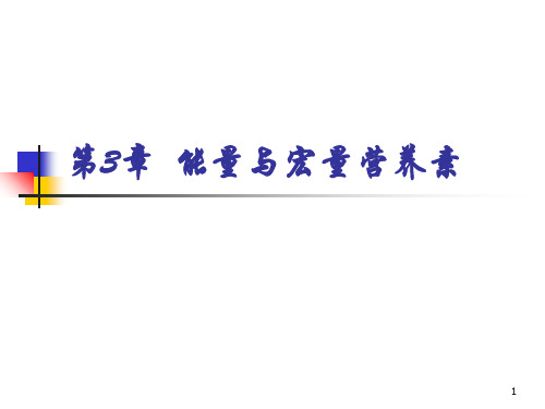 能量与宏量营养素-PPT精品文档