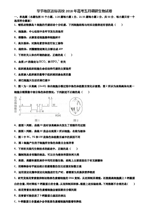 毕节地区达标名校2018年高考五月调研生物试卷含解析