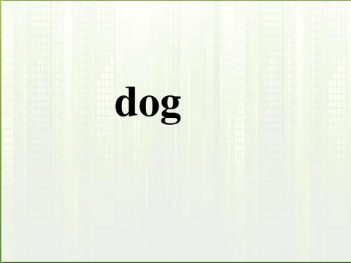 说不尽的狗