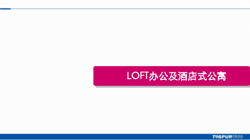 LOFT办公及酒店式公寓专题研究_32PPT