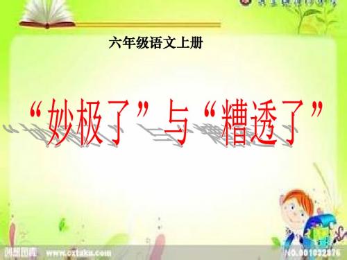 西师版六年级上册语文《妙极了与糟透了》课件PPT