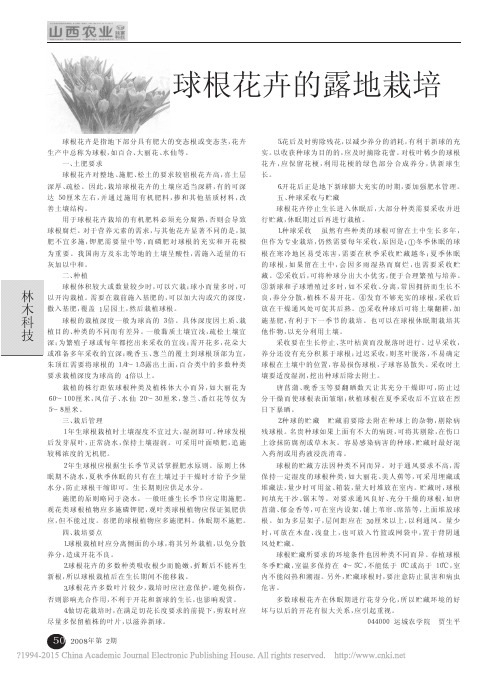 球根花卉的露地栽培