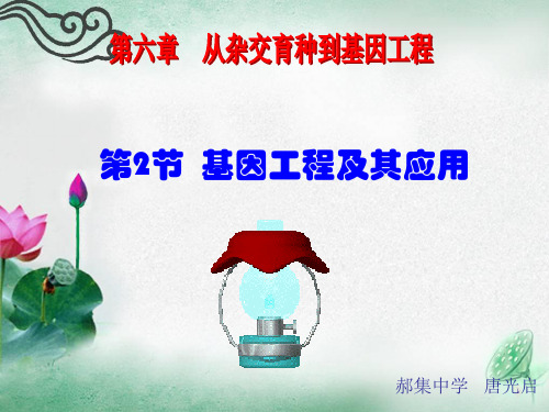 基因工程及其应用教学课件PPT