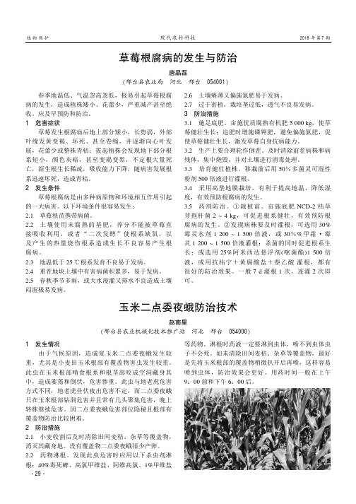 玉米二点委夜蛾防治技术