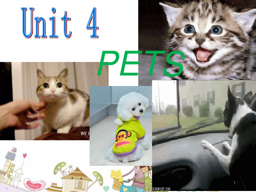 剑桥playway1 unit4PPT演示课件