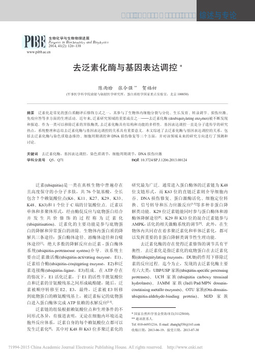去泛素化酶与基因表达调控_陈雨晗