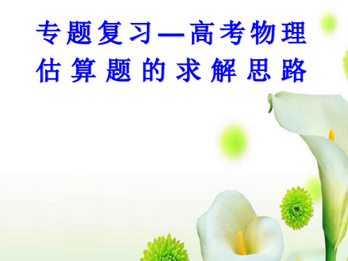 专题复习—高考物理估算题的求解思路分析PPT课件
