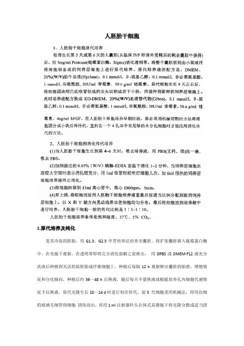 人胚胎干细胞分离培养与纯化